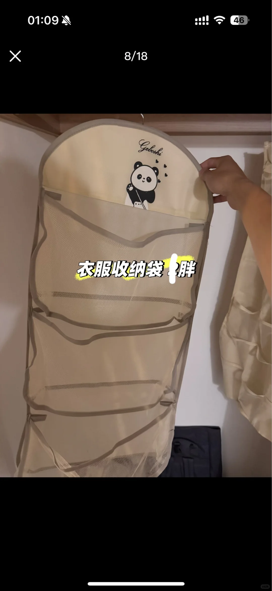 中国城附近 图片 4